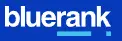 Ranking agencji SEO w Polsce _ Logo firmy bluerank